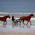 Le Lagon De Leon Escapade A Deux En Front De Mer, Avec Acces Direct Et Privatif A La Plage, Sur La Promenade Marcel Proust A (adults Only) 아파트 *