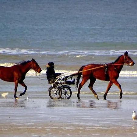 Studio Le Lagon De Leon Elegant Petit Cocon Bord De Mer 2P Avec Acces Prive Immediat A La Plage & Promenade Marcel Proust Proche Centre De Cabourg A Pied (Adults Only) Apartman *