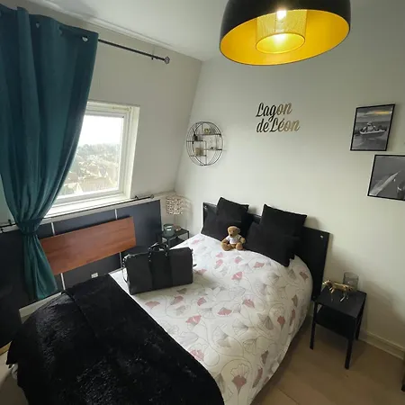 Le Lagon De Leon Escapade A Deux En Front De Mer, Avec Acces Direct Et Privatif A La Plage, Sur La Promenade Marcel Proust A (adults Only)