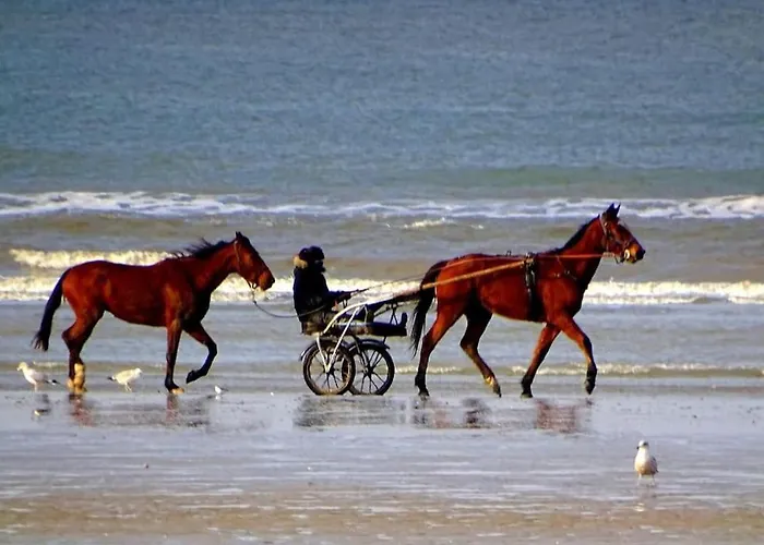 Le Lagon De Leon Escapade A Deux En Front De Mer, Avec Acces Direct Et Privatif A La Plage, Sur La Promenade Marcel Proust A (adults Only) Lägenhet *